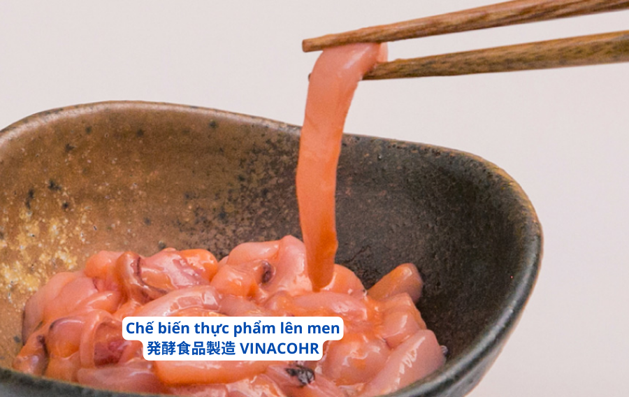 che-bien-thuc-pham-len-men-tai-nhat-ban-vinaco-hr-1