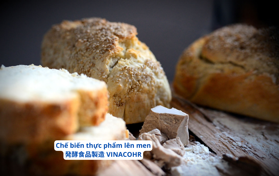 che-bien-thuc-pham-len-men-tai-nhat-ban-vinaco-hr-4