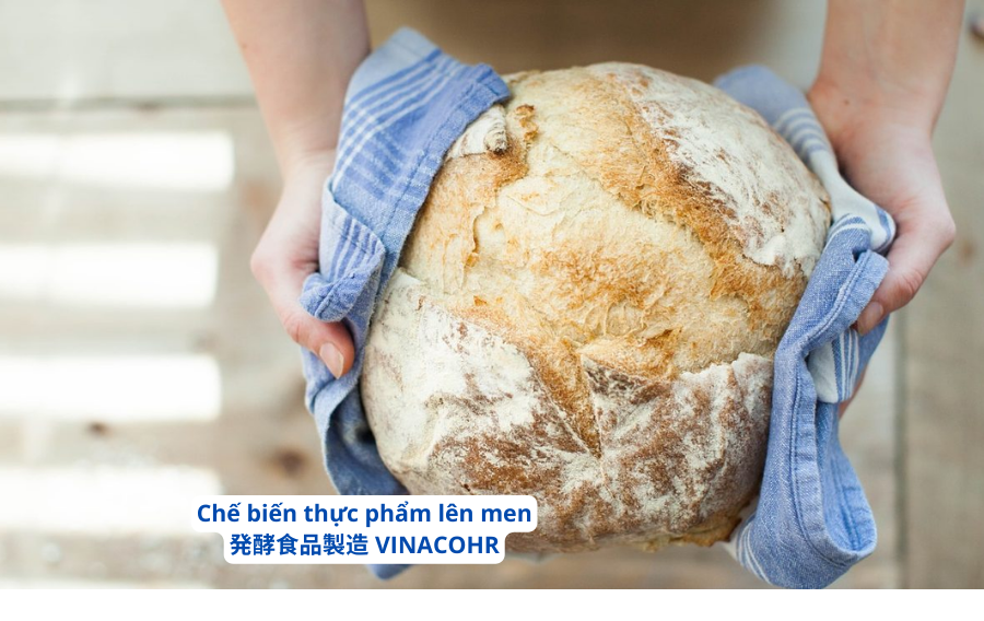 che-bien-thuc-pham-len-men-tai-nhat-ban-vinaco-hr-5