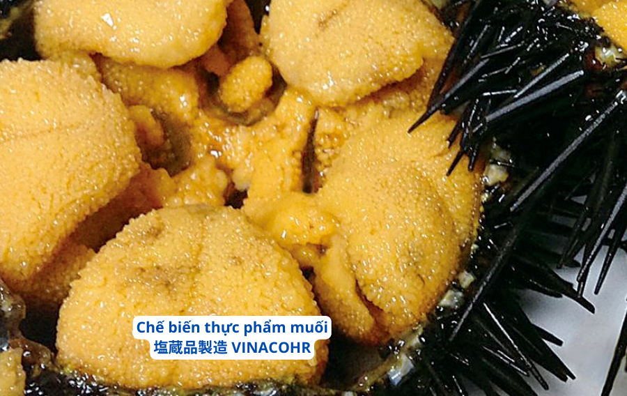 che-bien-thuc-pham-muoi-o-nhat-ban-vinacohr-4