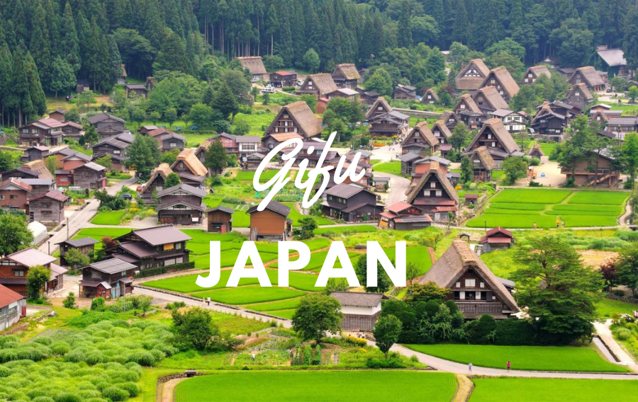 gifu-japan-vinacohr