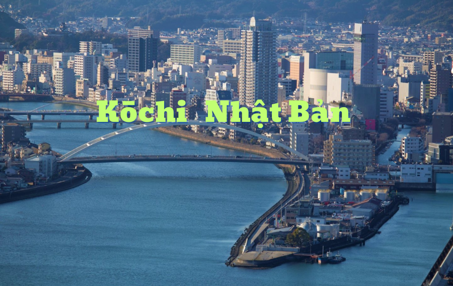 kchi_-japan-vinacohr