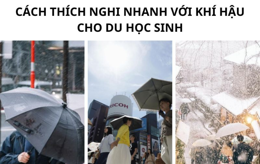 lam_the_nao_de_thich_nghi_voi_mua_he_o_nhat_ban1