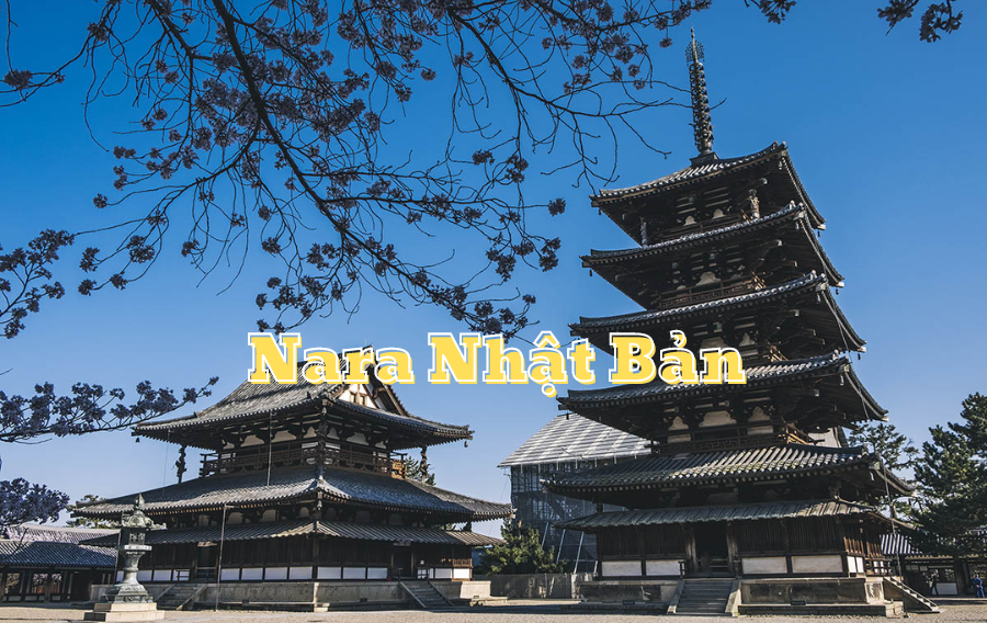 nara-japan-vinacohr