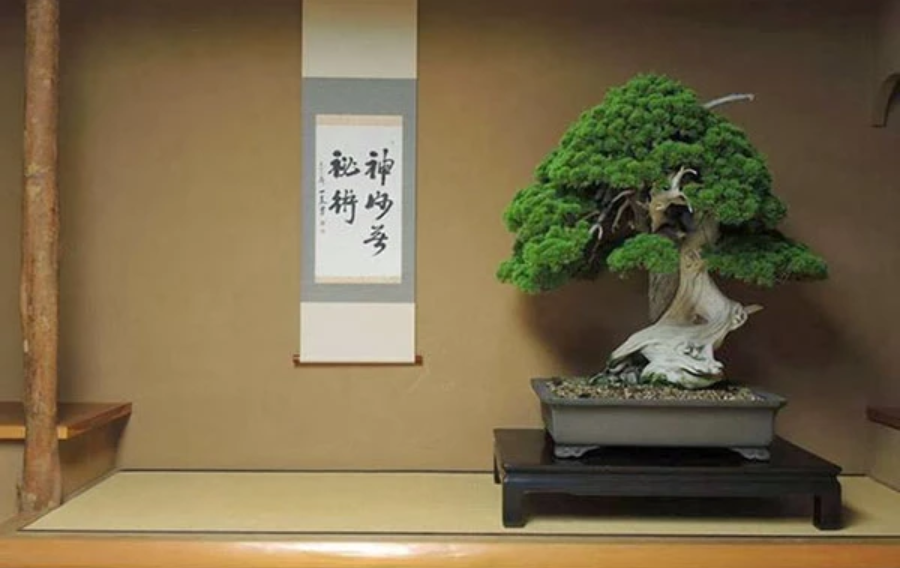 nghe_thuat_bonsai_nhat_ban1