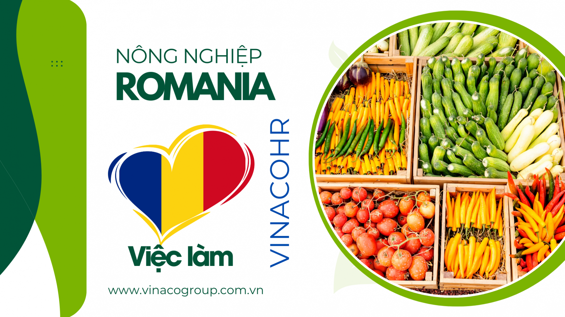 nong-nghiep-romania-6