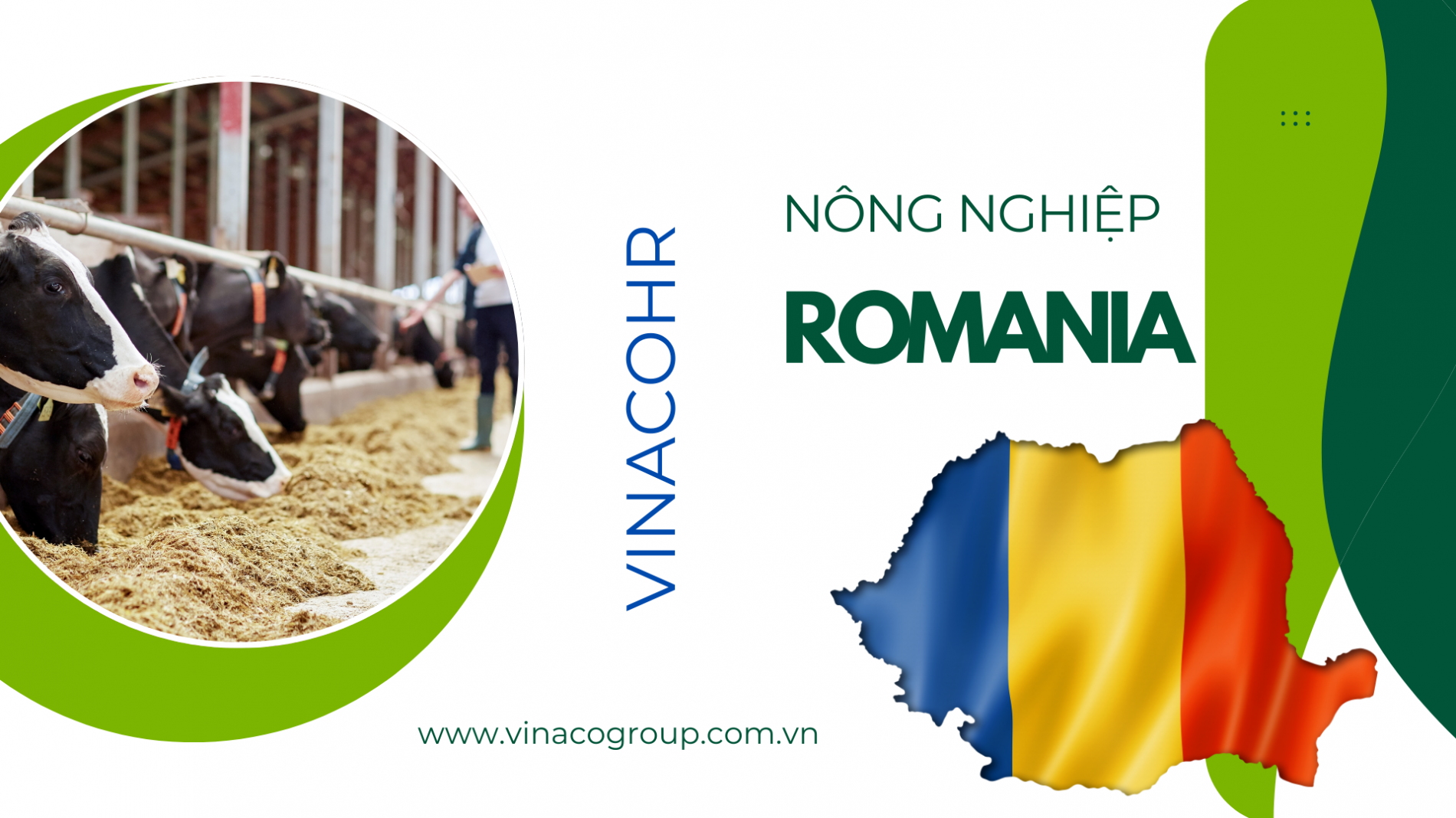 nong-nghiep-romania-8