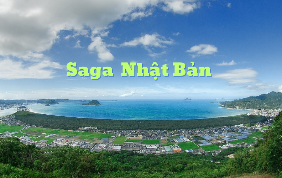 saga-japan-vinacohr