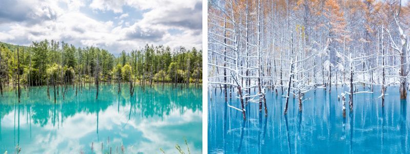 Hồ Blue Pond