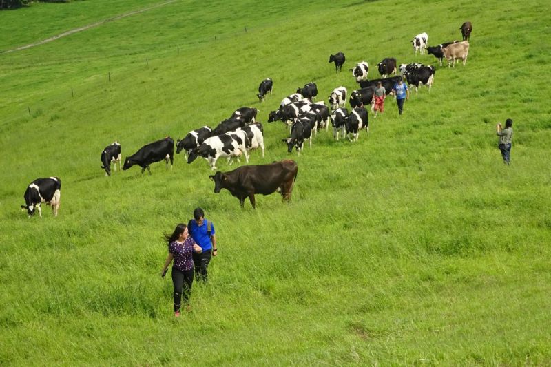 nhiều loại nông sản ở Hokkaido được ưa chuộng