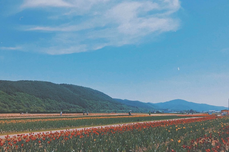 Tỉnh Hokkaido