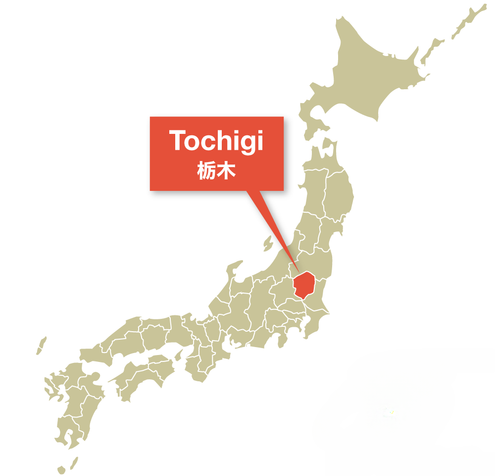 Vị trí tỉnh Tochigi