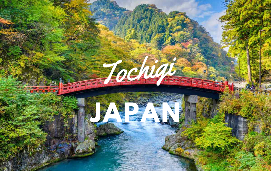 tochigi-japan-vinacohr