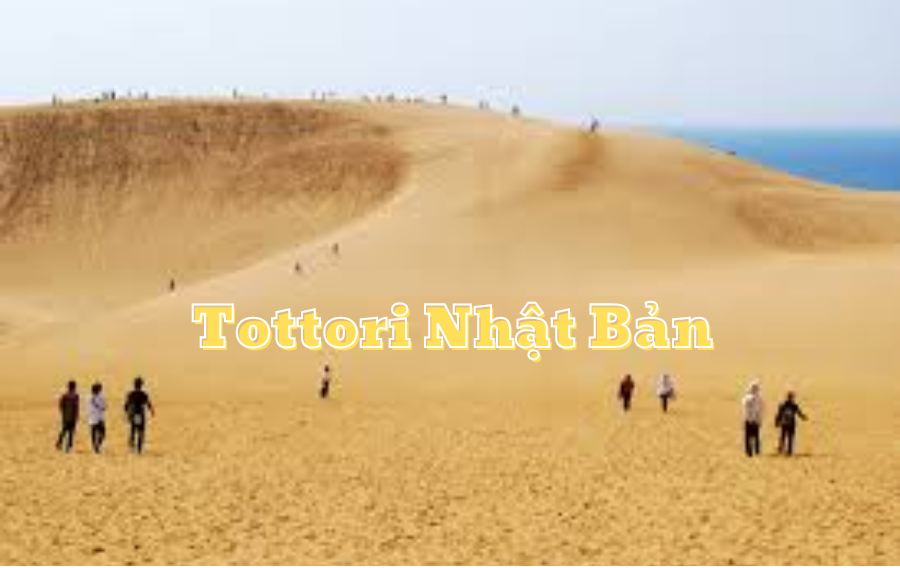 tottori-japan-vinacohr