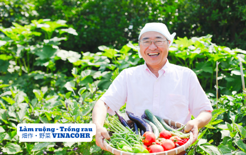 Việc làm nông nghiệp tại Nhật Bản có vất vả không?