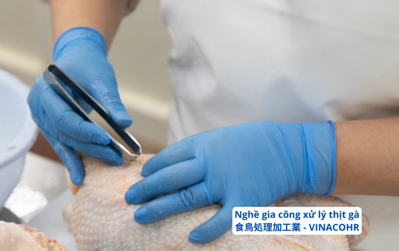 Nghề chế biến gia cầm ở Nhật Bản