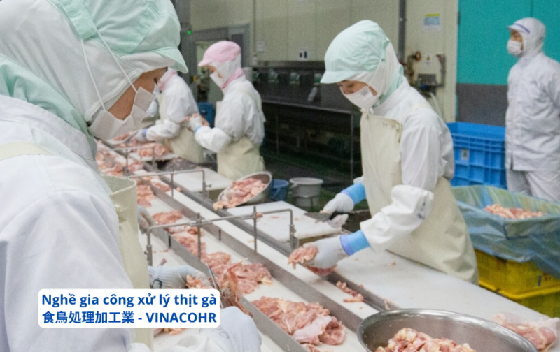 Nghề chế biến gia cầm ở Nhật Bản có nên đi?