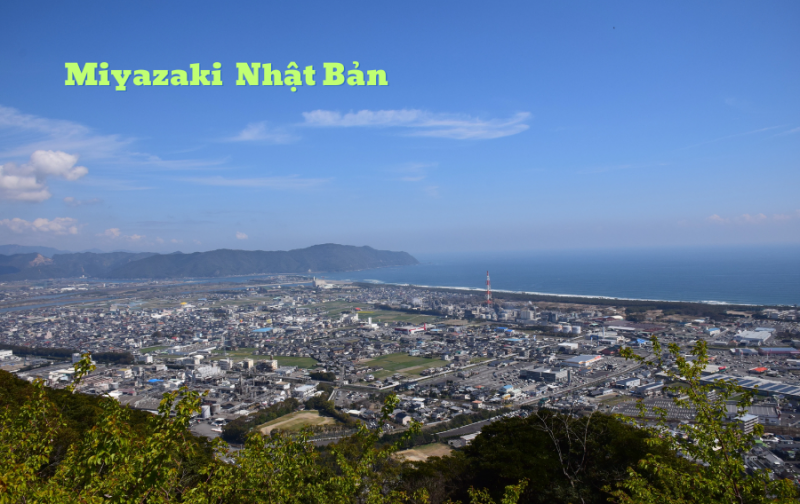 Giới thiệu tỉnh Miyazaki Nhật Bản