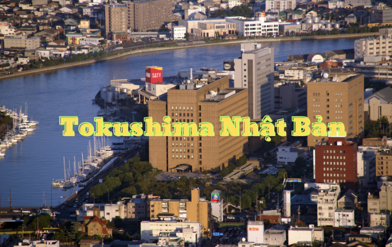 Giới thiệu về tỉnh Tokushima Nhật Bản