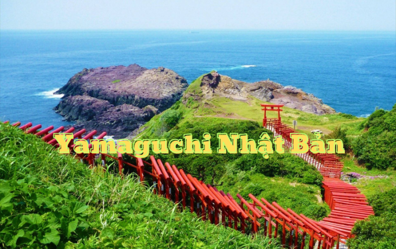 Giới thiệu về tỉnh Yamaguchi Nhật Bản