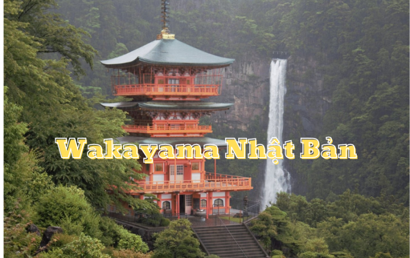 Giới thiệu về tỉnh Wakayama Nhật Bản