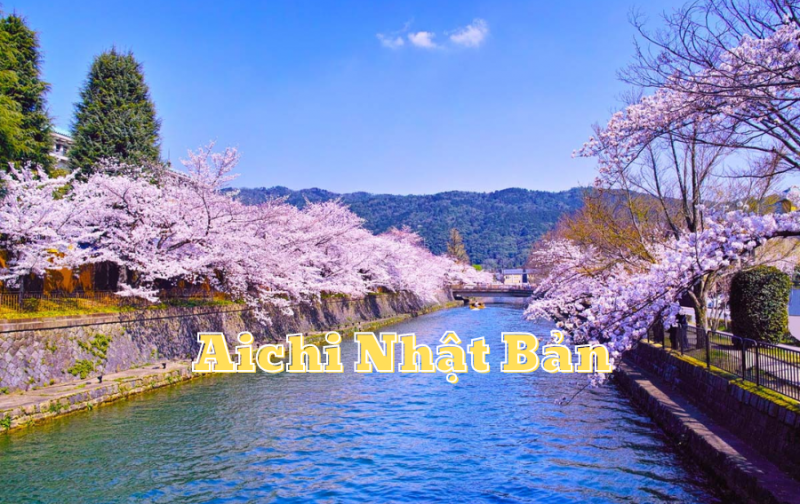 Giới thiệu về tỉnh Aichi Nhật Bản