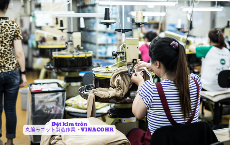 Dẹt kim tròn ở Nhật Bản