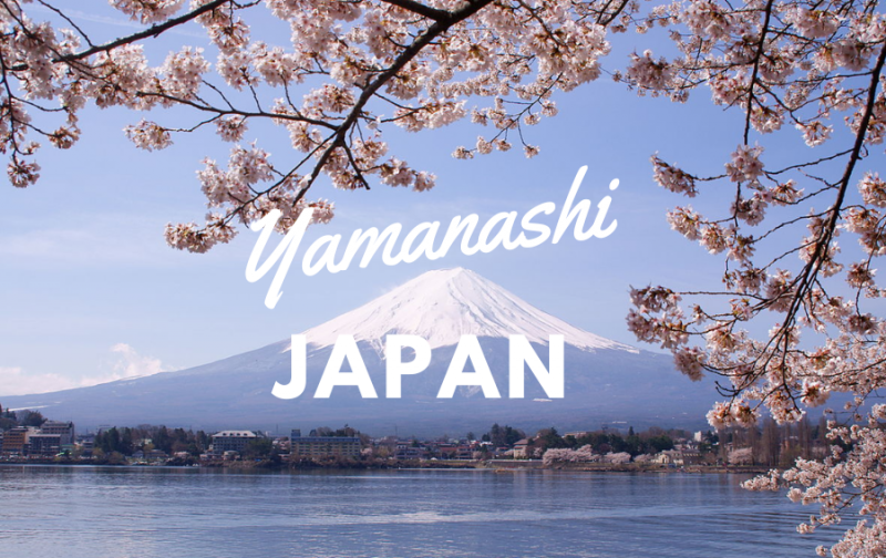 Giới thiệu về tỉnh Yamanashi Nhật Bản
