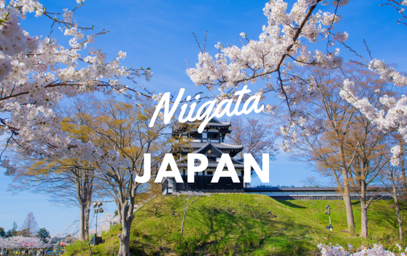 Giới thiệu về tỉnh Niigata Nhật Bản