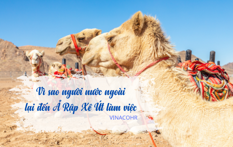 Tại sao người nước ngoài đến Ả Rập Xê Út để làm việc