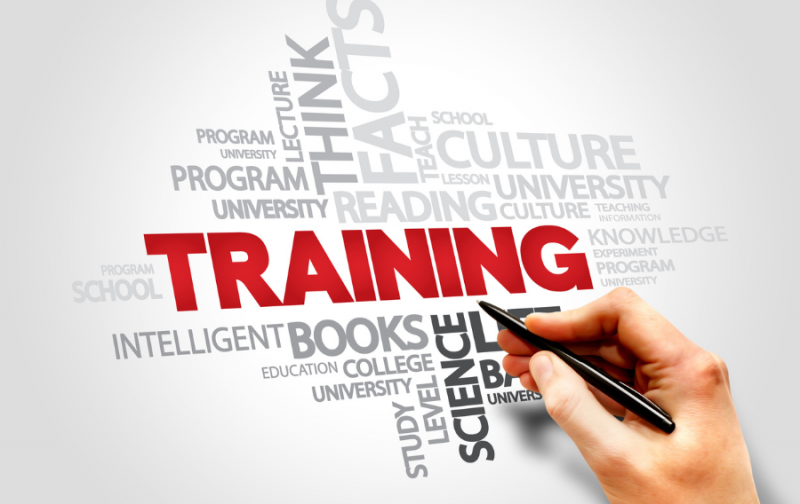 Giáo dục và đào tạo