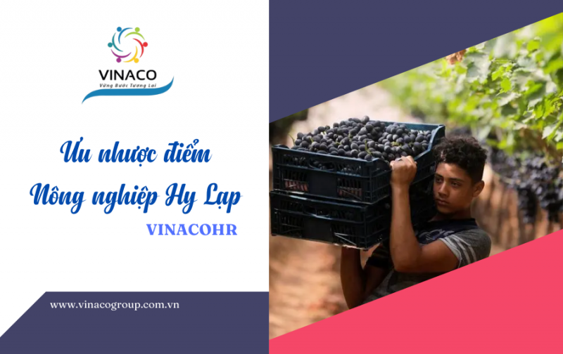 Ưu nhược điểm đơn hàng nông nghiệp Hy Lạp