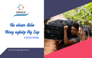 Ưu nhược điểm đơn hàng nông nghiệp Hy Lạp