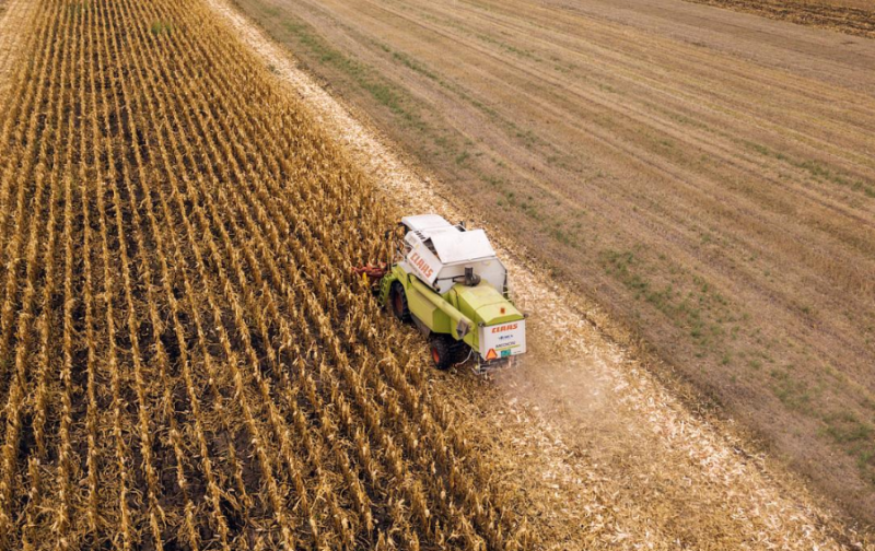 Nông nghiệp Romania