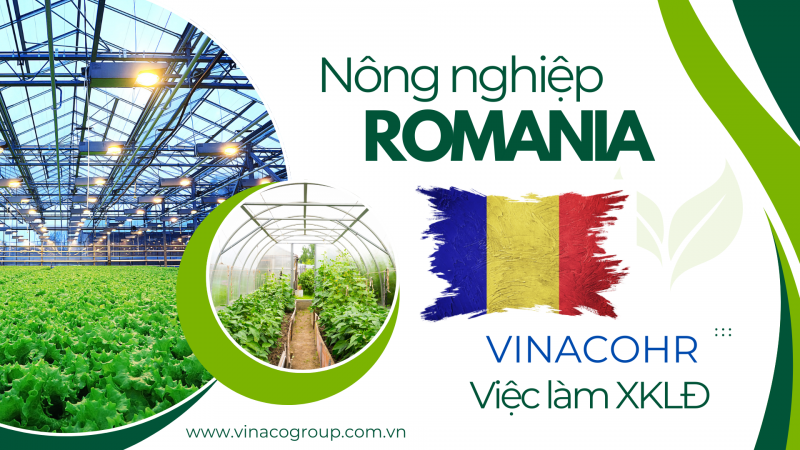 Đơn nông nghiệp nhà kính Romania tháng 6/2024
