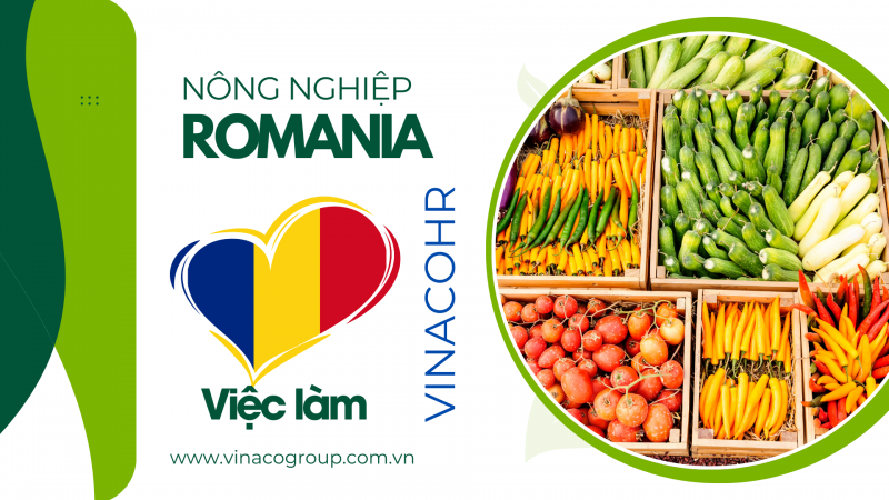 Công nhân nông trại Romania