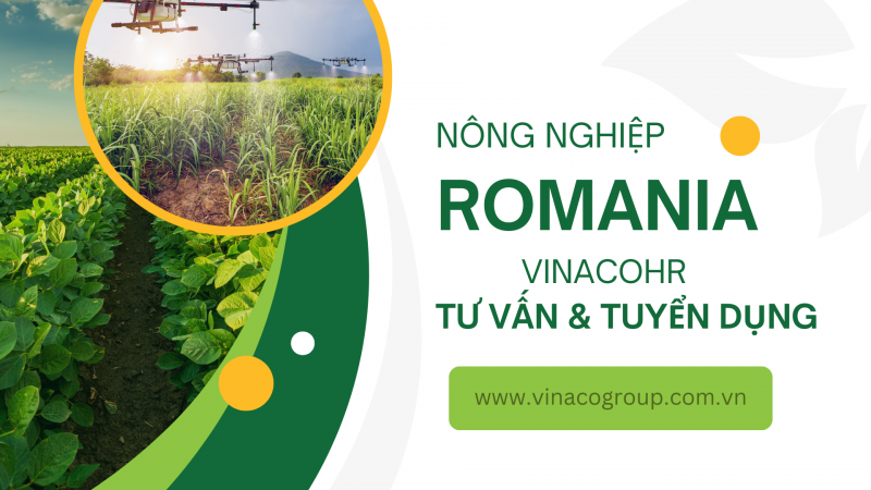 Đơn hàng trồng rau ở trang trại Romania