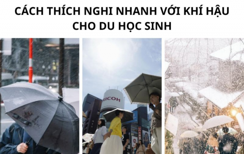 Làm thế nào để thích nghi với Thời tiết Nhật Bản