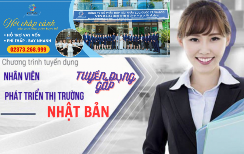 Mô tả công việc nhân viên phát triển thị trường Nhật Bản -
