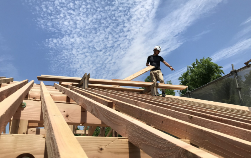 Công việc của đơn hàng mộc xây dựng Nhật Bản thế nào?