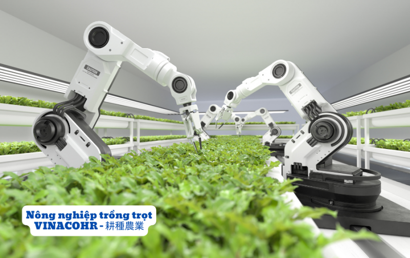 Nông nghiệp Nhật Bản